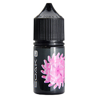 Soak L Salt Bubble Gum 30ml 20mg (М)