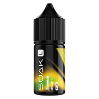 Soak L Salt Melon Mojito 30ml (20mg) (М)